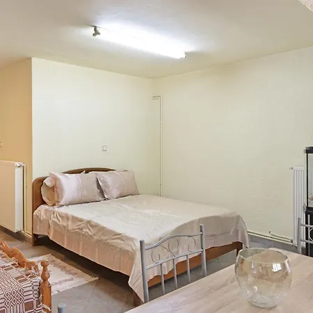 Apartment Patela *